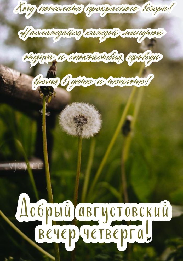 Чудесный вечер августа. 