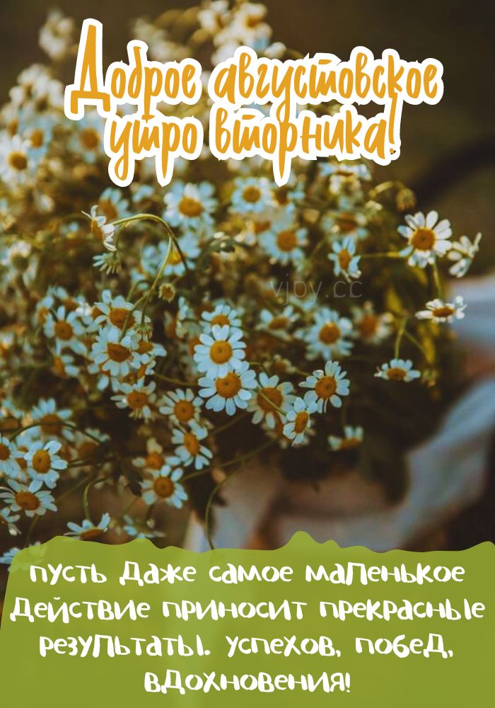 Вторник, доброе утро августа! - картинка. 