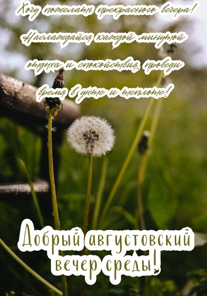 Летнего хорошего вечера в среду. 