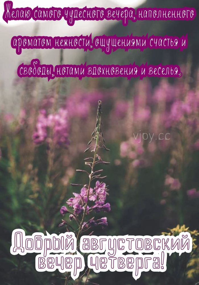 Прекрасного августовского вечера в четверг желаю! 