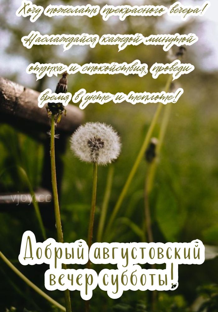 В субботу доброго августовского вечера. 