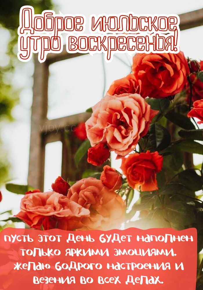 Июльский приветик в воскресенье!