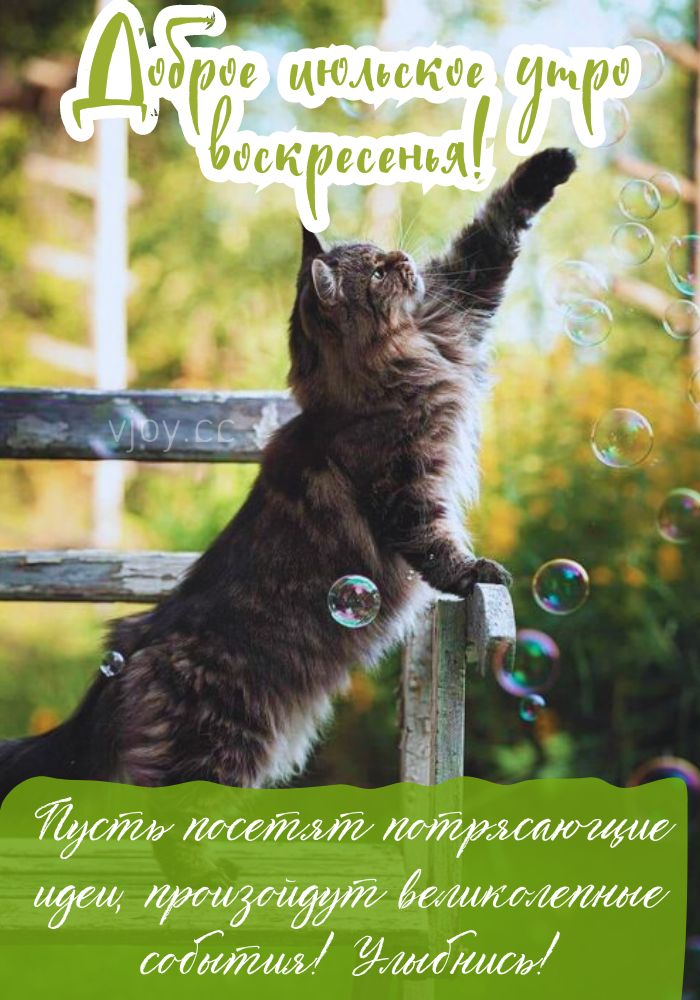 В воскресенье доброго утра!