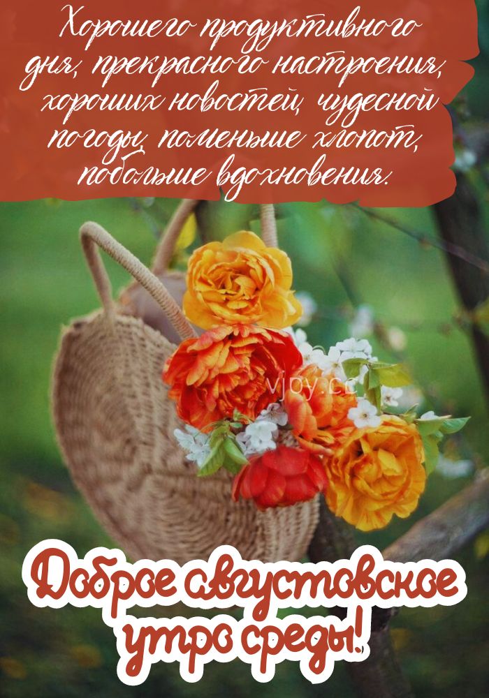 Прекрасного августовского утра среды.
