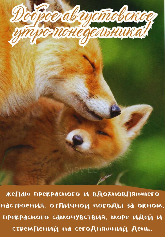 Понедельник, прекрасного августовского утра! 