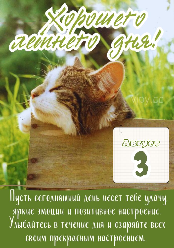 Хорошего летнего дня 3 августа! - картинка. 