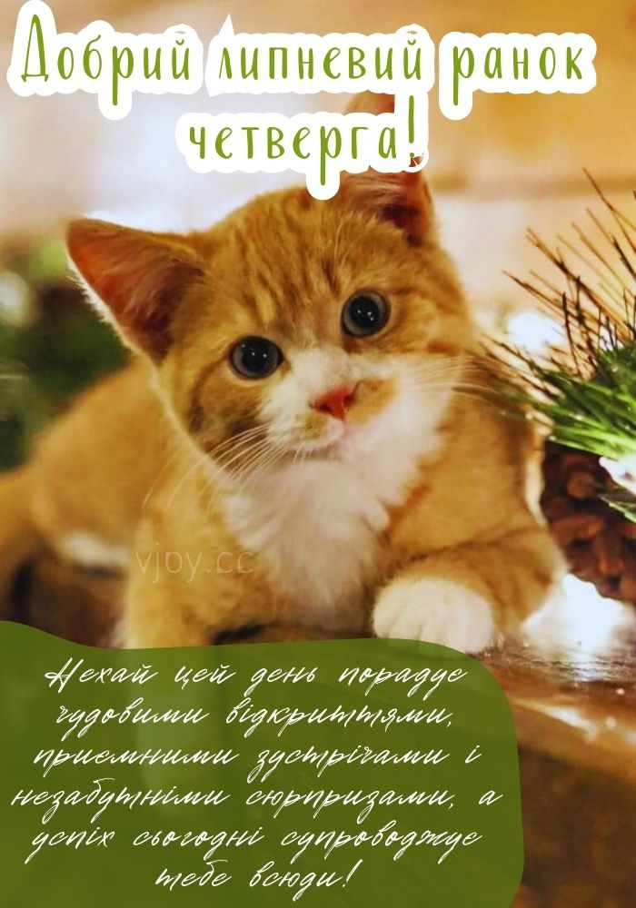 Липневий ранок четверга. 
