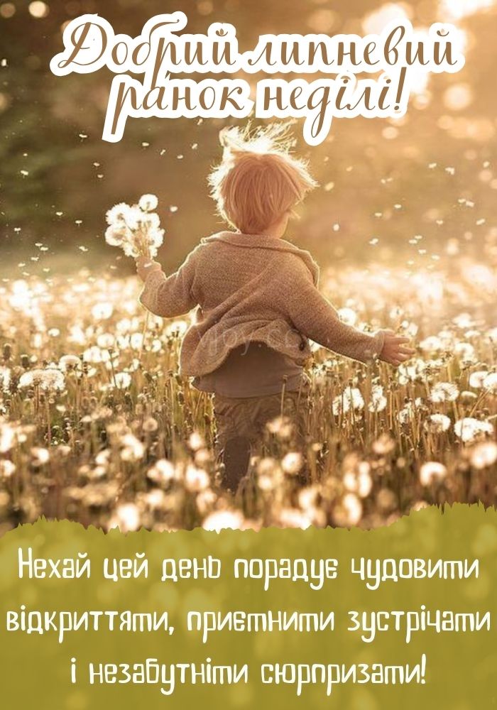 Прекрасного липневого дня неділі! 