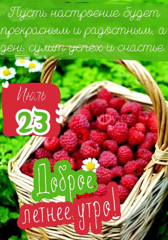Доброе утро 23 июля!