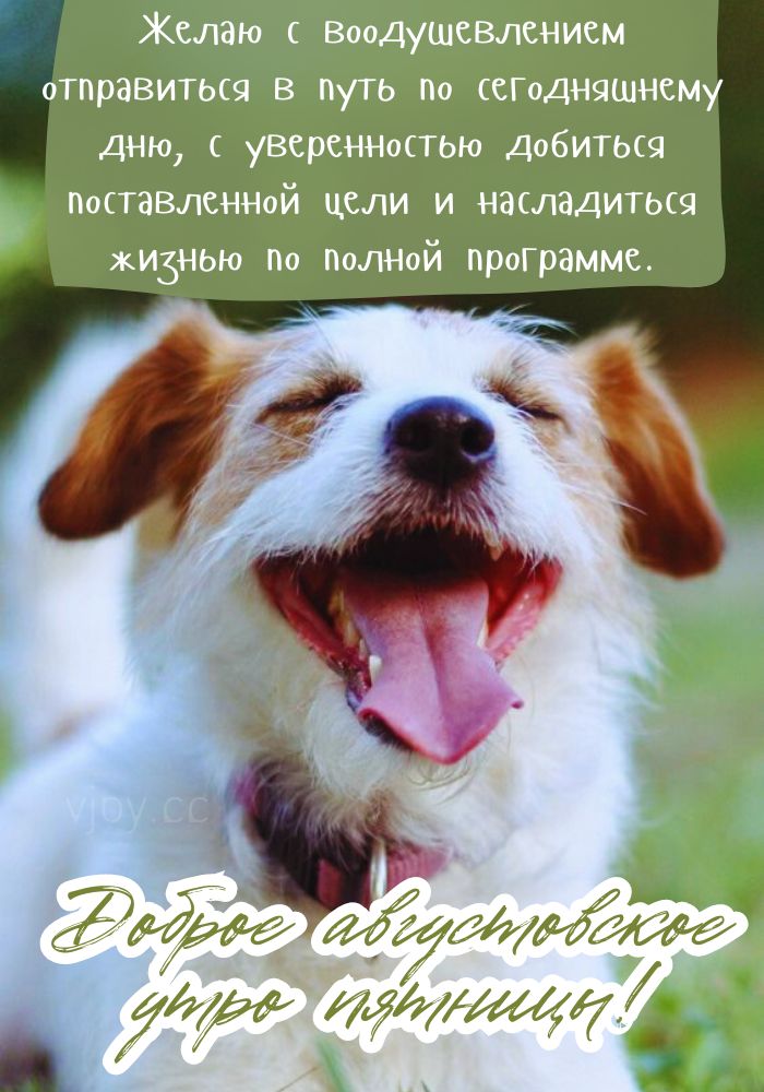 Пятница, доброе августовское утро! 