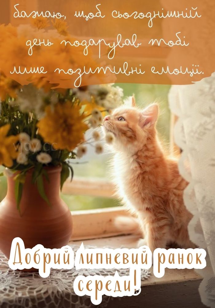Липень, добрий ранок! 