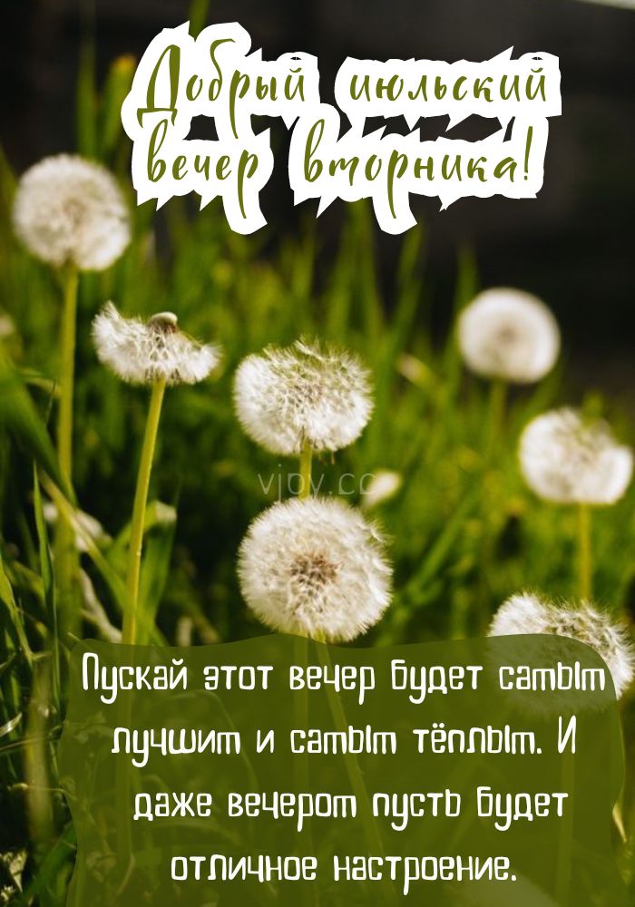 Уютного июльского вечера во вторник! 