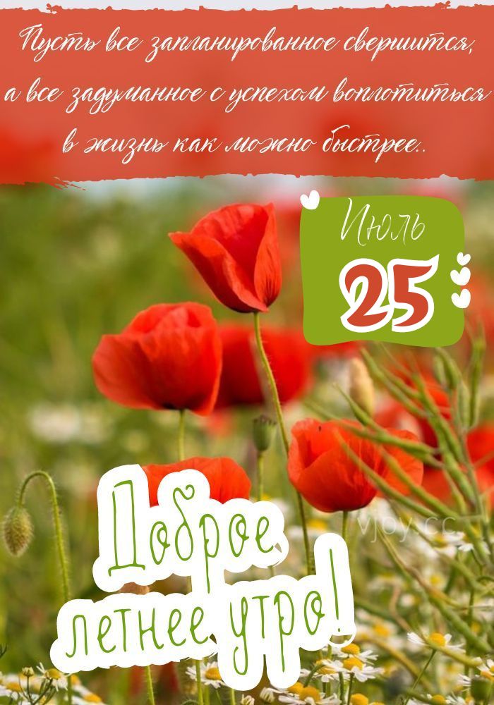 Летнее доброе утро 25 июля.