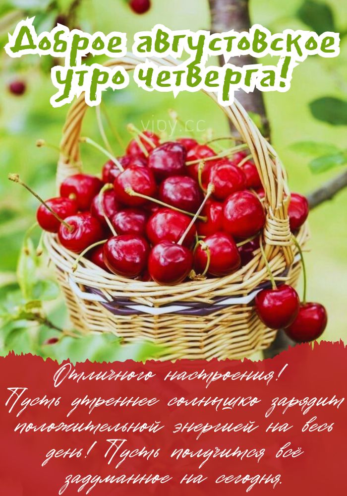 Четверг, доброе августовское утро! 