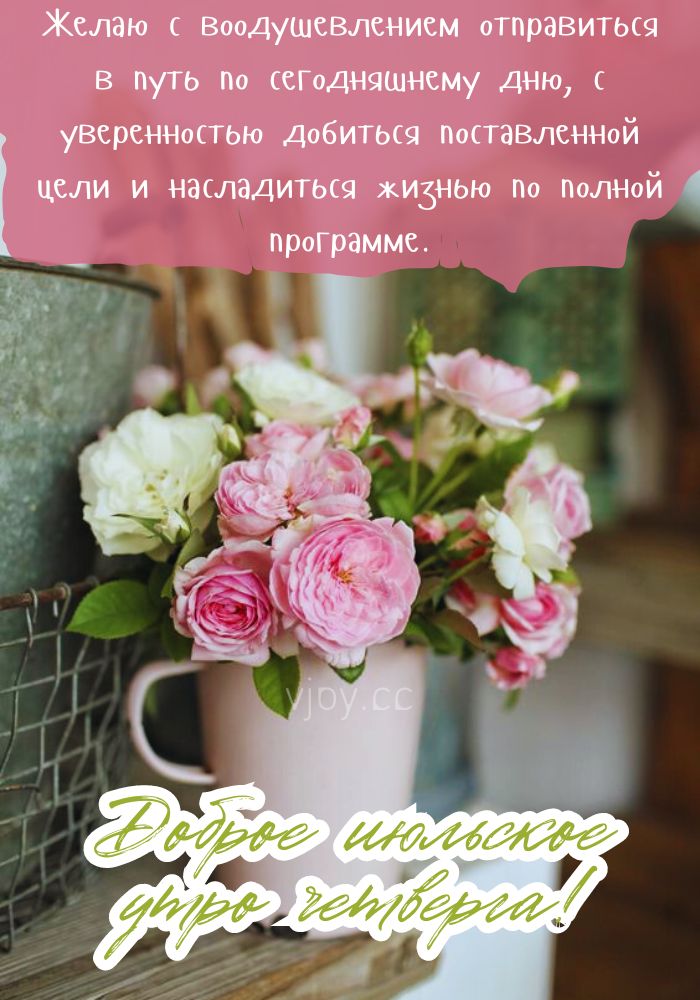 Летнее доброе утро!