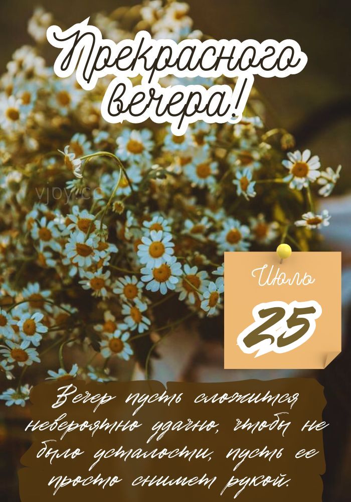 Летний добрый вечер 25 июля.