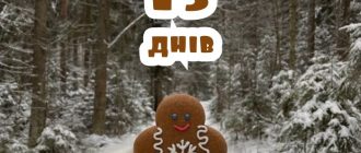 Картинки - До Нового Року залишилось 13 днів! (30 фото) 23