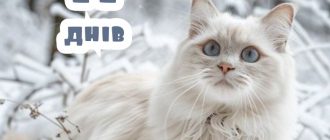Картинки - До Нового Року залишилось 11 днів! (30 фото) 20