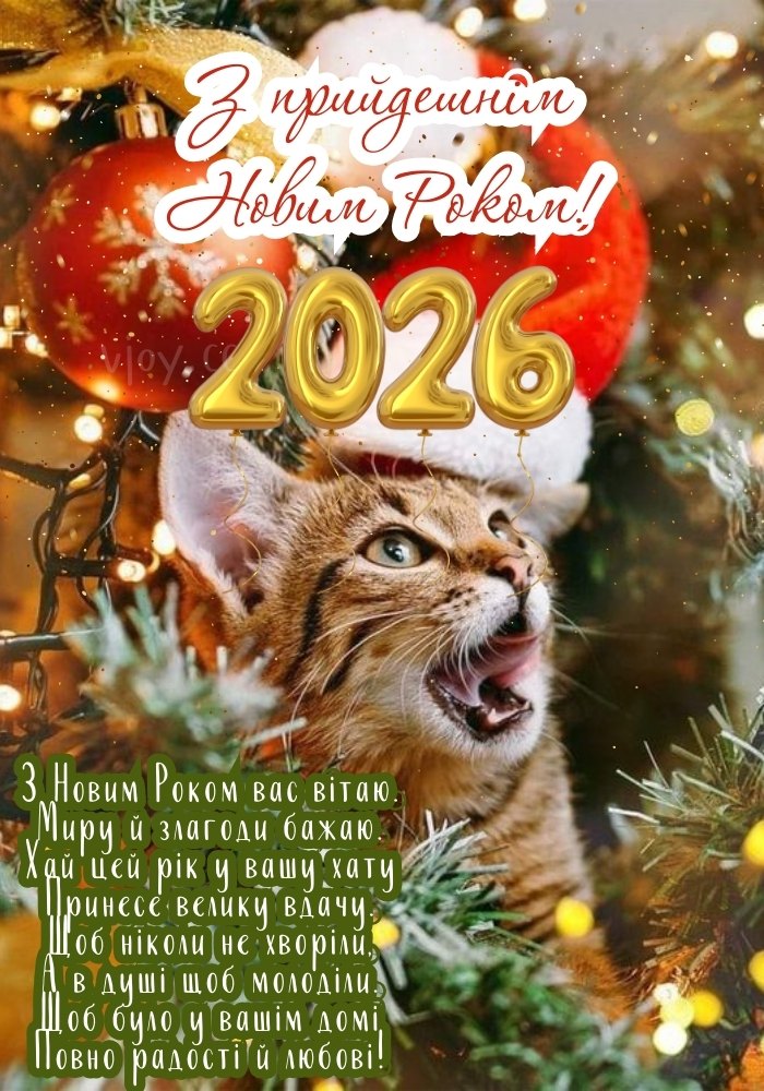 Нехай прийдешній Новий рік 2026 буде сповнений любові