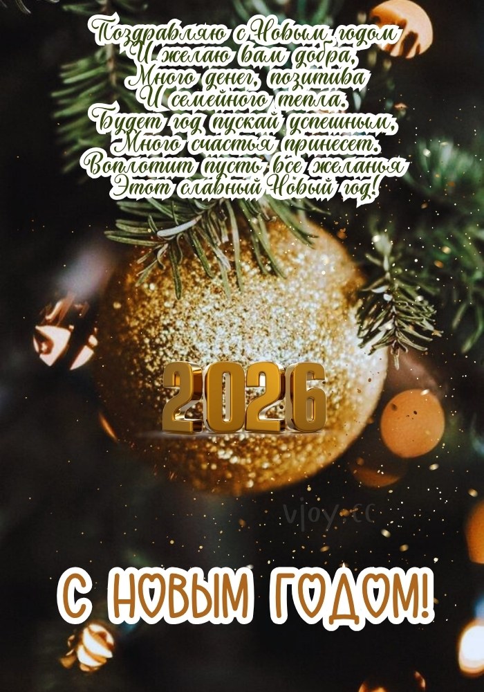 Пусть С Новым годом 2026 начинается история счастья.