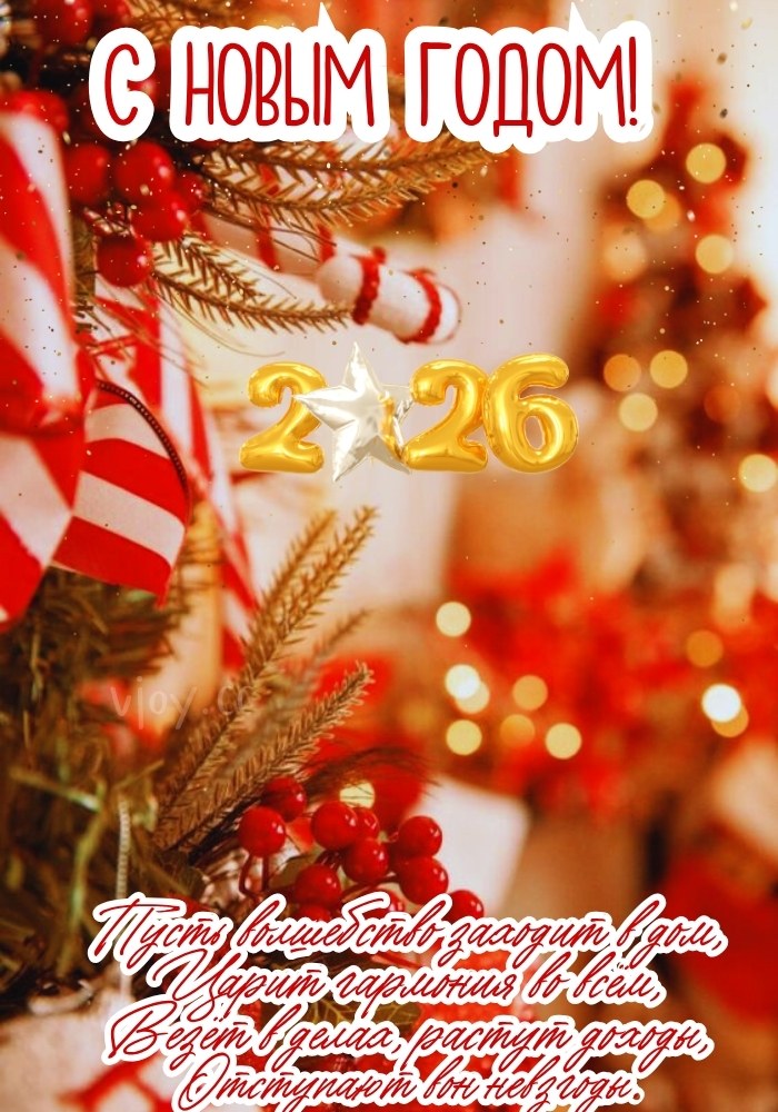 С Новым годом 2026 - пусть жизнь подарит спокойствие.
